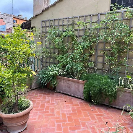 Terrazza Minerva *